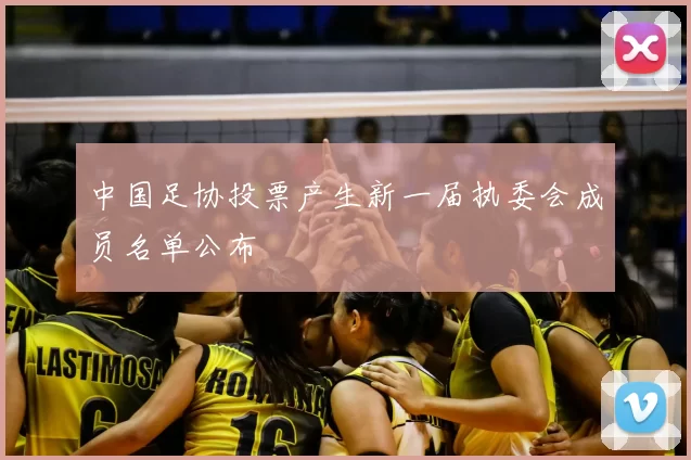 中国足协投票产生新一届执委会成员名单公布