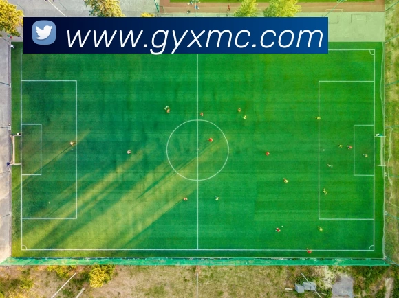 333体育app官网页面(中国)有限公司 - 官网APP 封面图